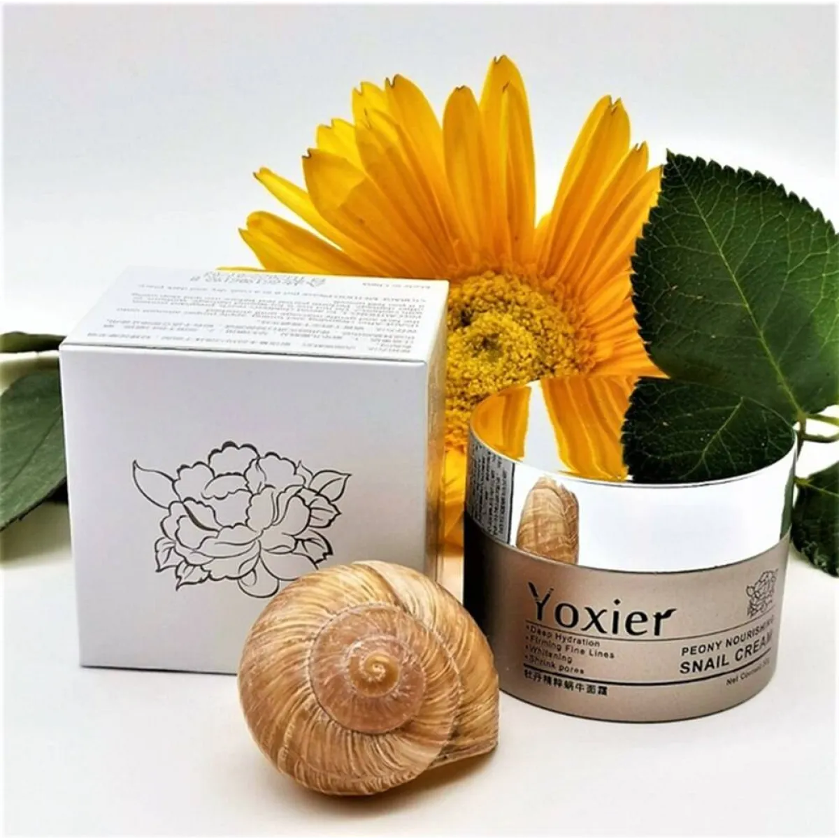 Nourishing Facial Snail Cream - Image 13